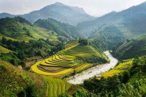 Champs en terrasses à Ha Giang, un des meilleurs endroits à visiter au Nord du Vietnam.