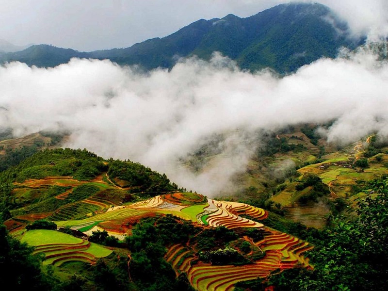 Sapa panoramique