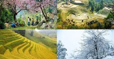 Saisons du Vietnam